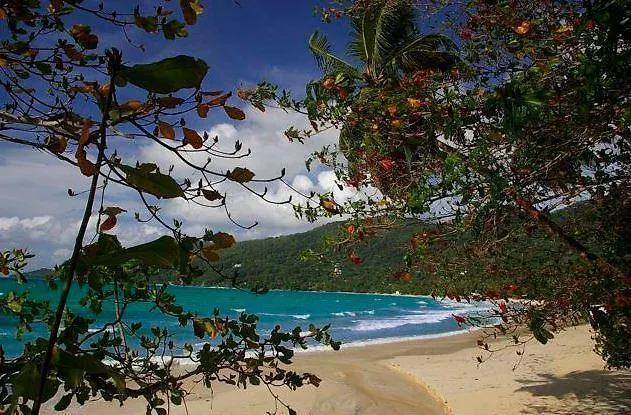 Rowsvilla Guest House Beau Vallon